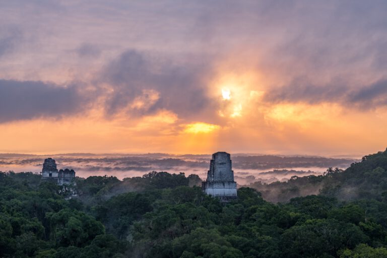 Hier ist das Titelbild zu sehen. Es zeigt einen Blick auf die bewaldete Region Petén im Norden Guatemalas. Durch die Wipfel ragen die Ruinen der antiken Maya-Stadt Tikal.