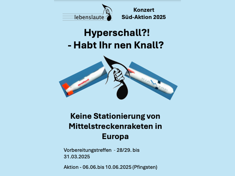 Plakat für eine Aktion der Lebenslaute in Wiesbaden